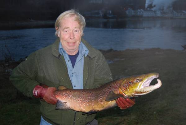 Drammenselva får ingen restriksjoner i de neste 4 år!